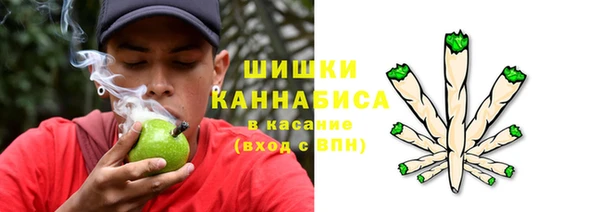 PSILOCYBIN Саяногорск
