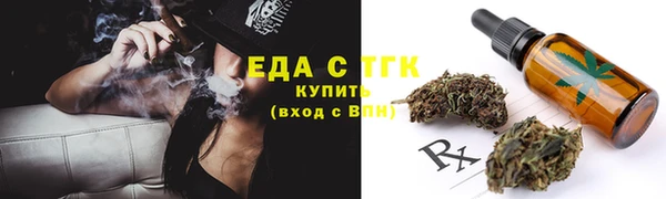 индика Абдулино
