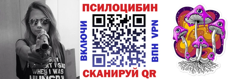 omg зеркало  Александров  Псилоцибиновые грибы Psilocybine cubensis 
